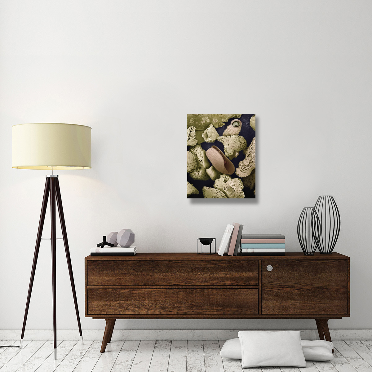 Foraminiferans, molluscs and other bryozoans found on beach in Formentera, Balearic Islands, Spain-Canvas Art-22&quotx28"