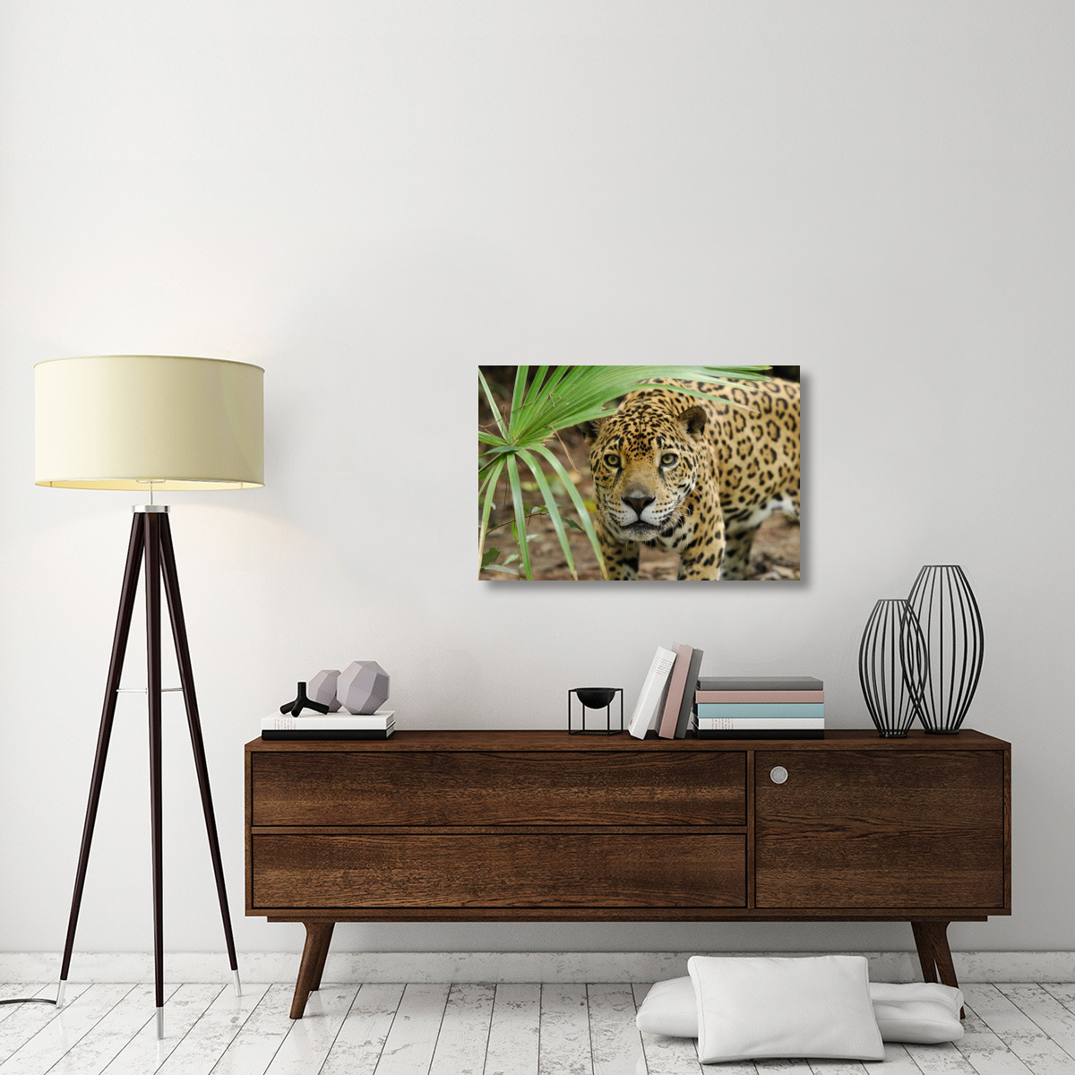 Jaguar peering through brush, Belize-Canvas Art-36&quotx24"