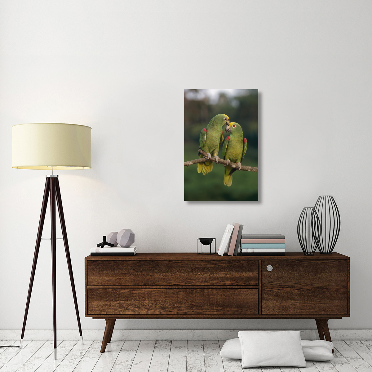 Yellow-crowned Parrot pair, Venezuela-Canvas Art-24&quotx36"