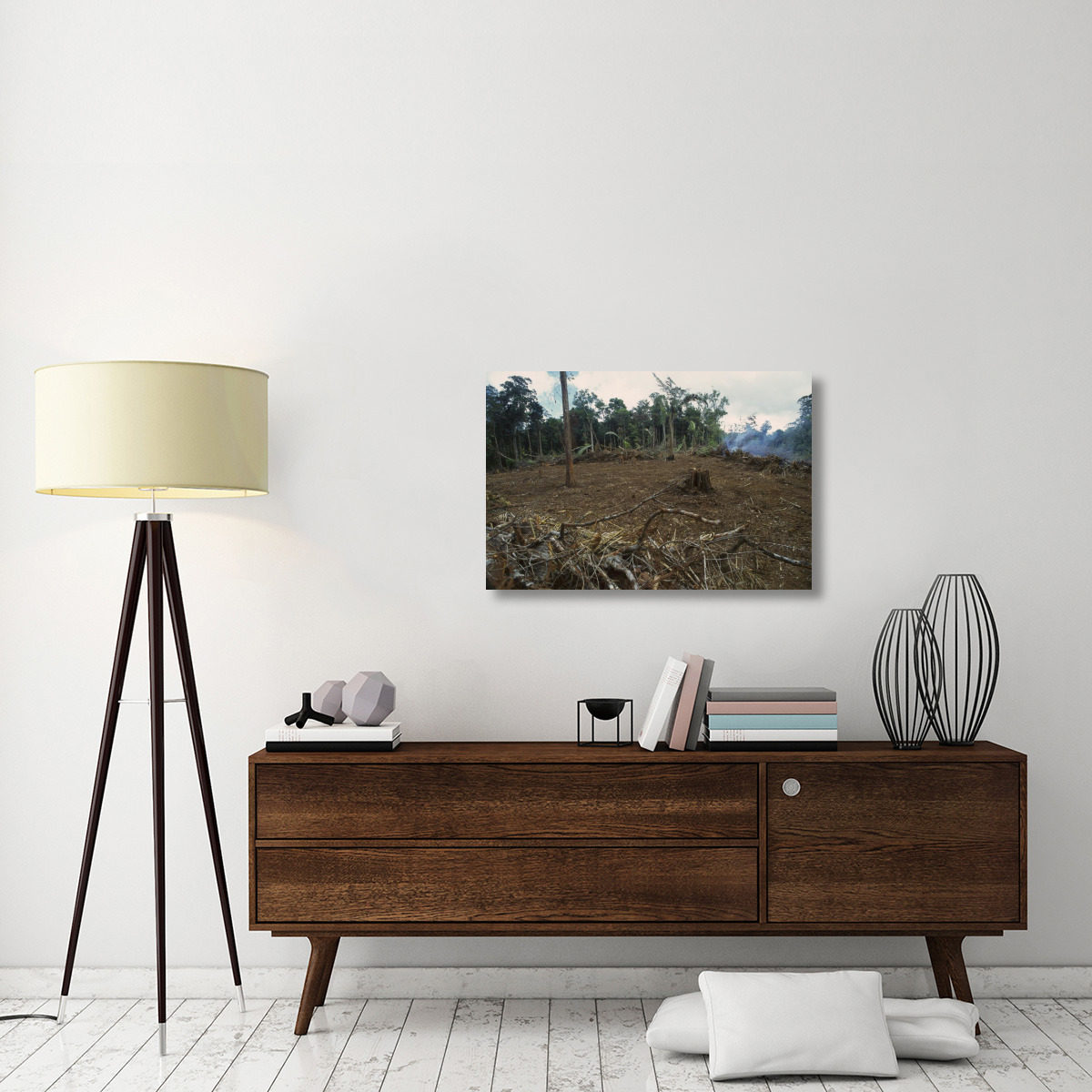 Rainforest deforestation, French Guiana-Canvas Art-36&quotx24"