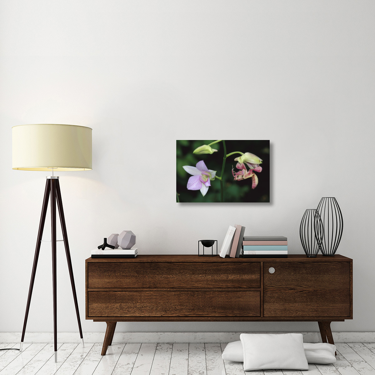 Orchid Mantis female mimicking a pink flower, Malaysia-Canvas Art-30&quotx20"