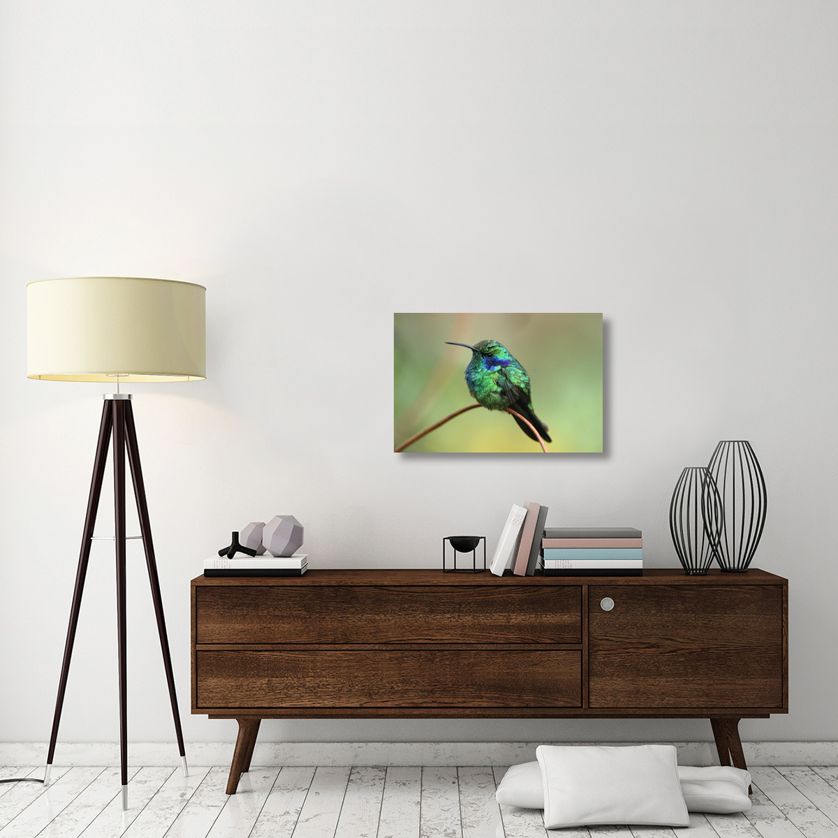 Green Violet-ear hummingbird perched on twig, Costa Rica-Canvas Art-30&quotx20"