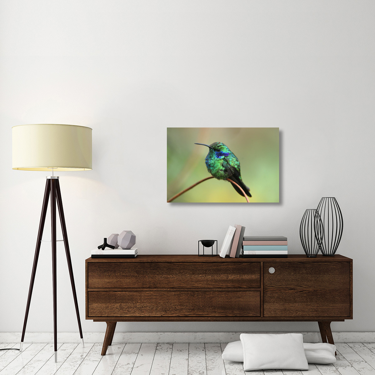 Green Violet-ear hummingbird perched on twig, Costa Rica-Canvas Art-36&quotx24"