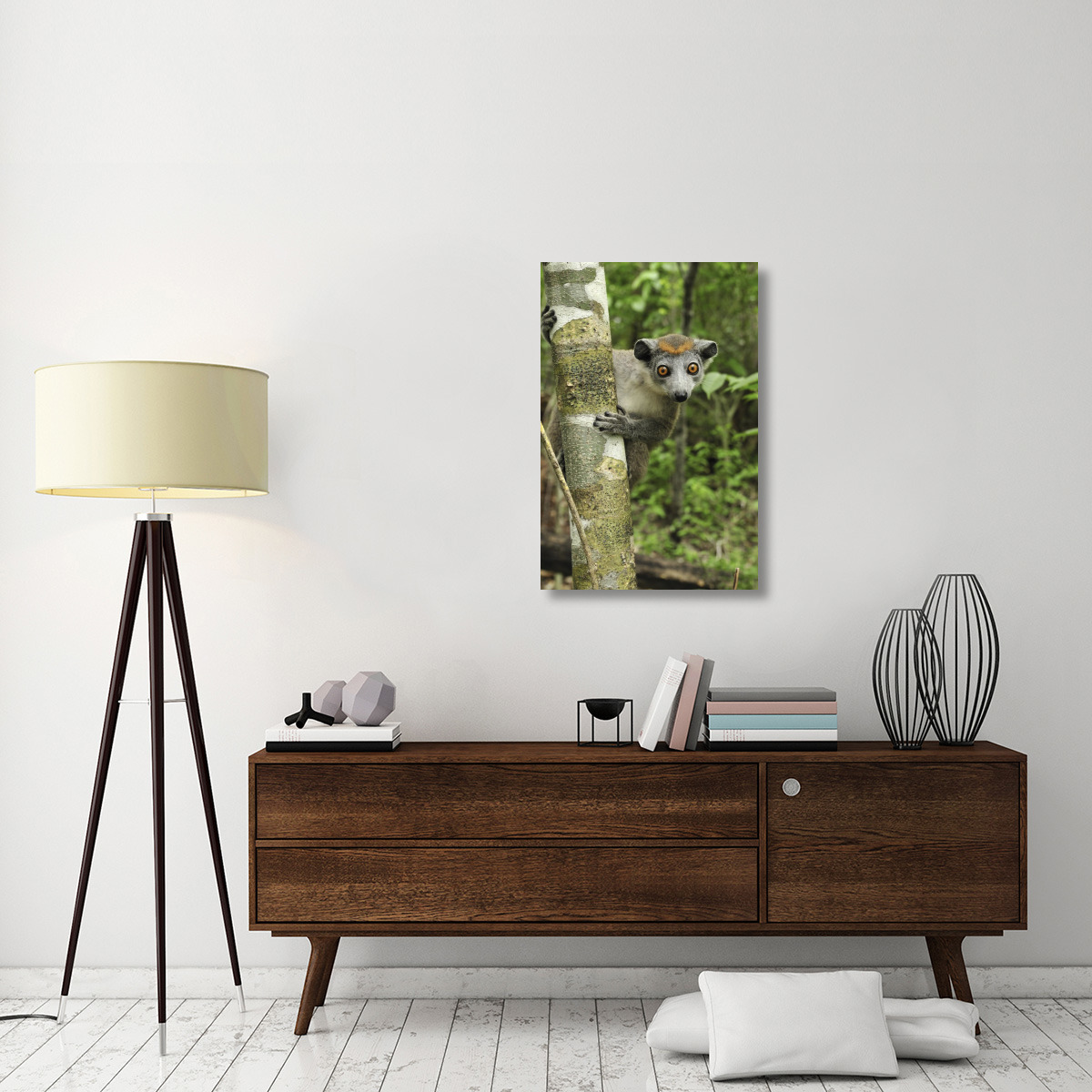 Crowned Lemur female, Ankarana Special Reserve, Madagascar-Canvas Art-24&quotx36"