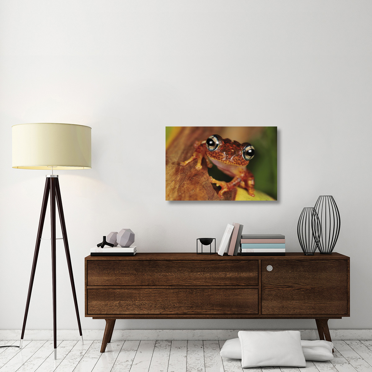 Tree Frog portrait, Andasibe-Mantadia National Park, Madagascar-Canvas Art-36&quotx24"