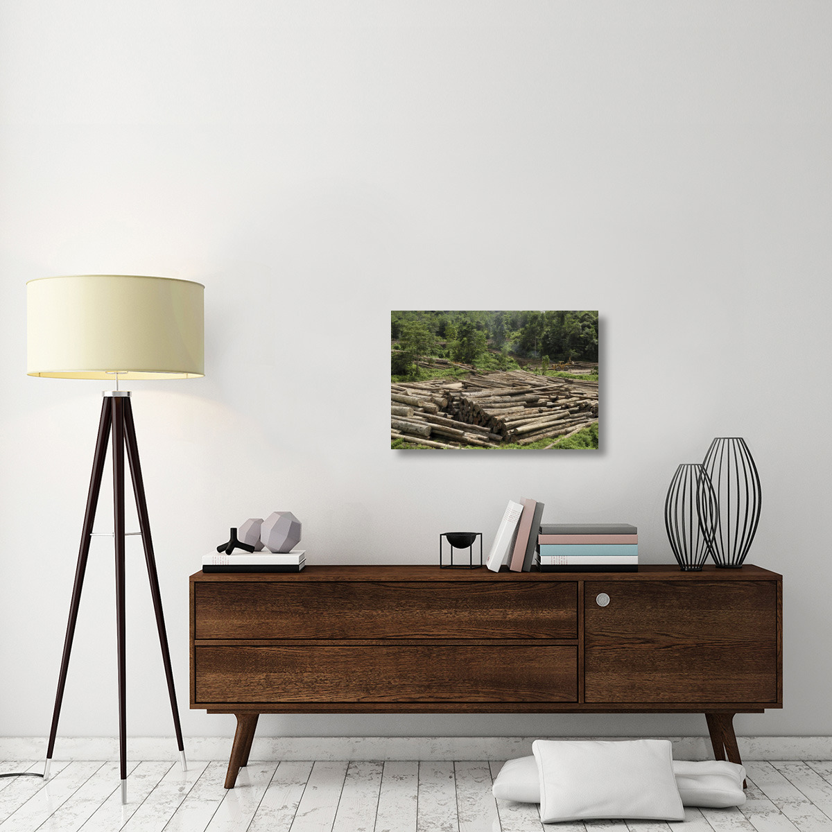 Logs in logging area, Danum Valley Conservation Area, Borneo, Malaysia-Canvas Art-30&quotx20"