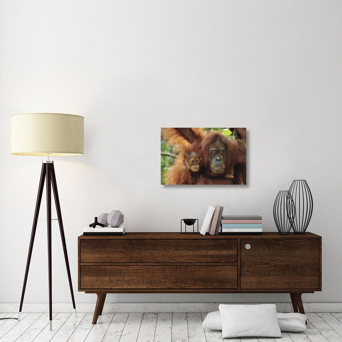 Sumatran Orangutan mother with young, Gunung Leuser National Park, northern Sumatra, Indonesia-Canvas Art-30&quotx20"