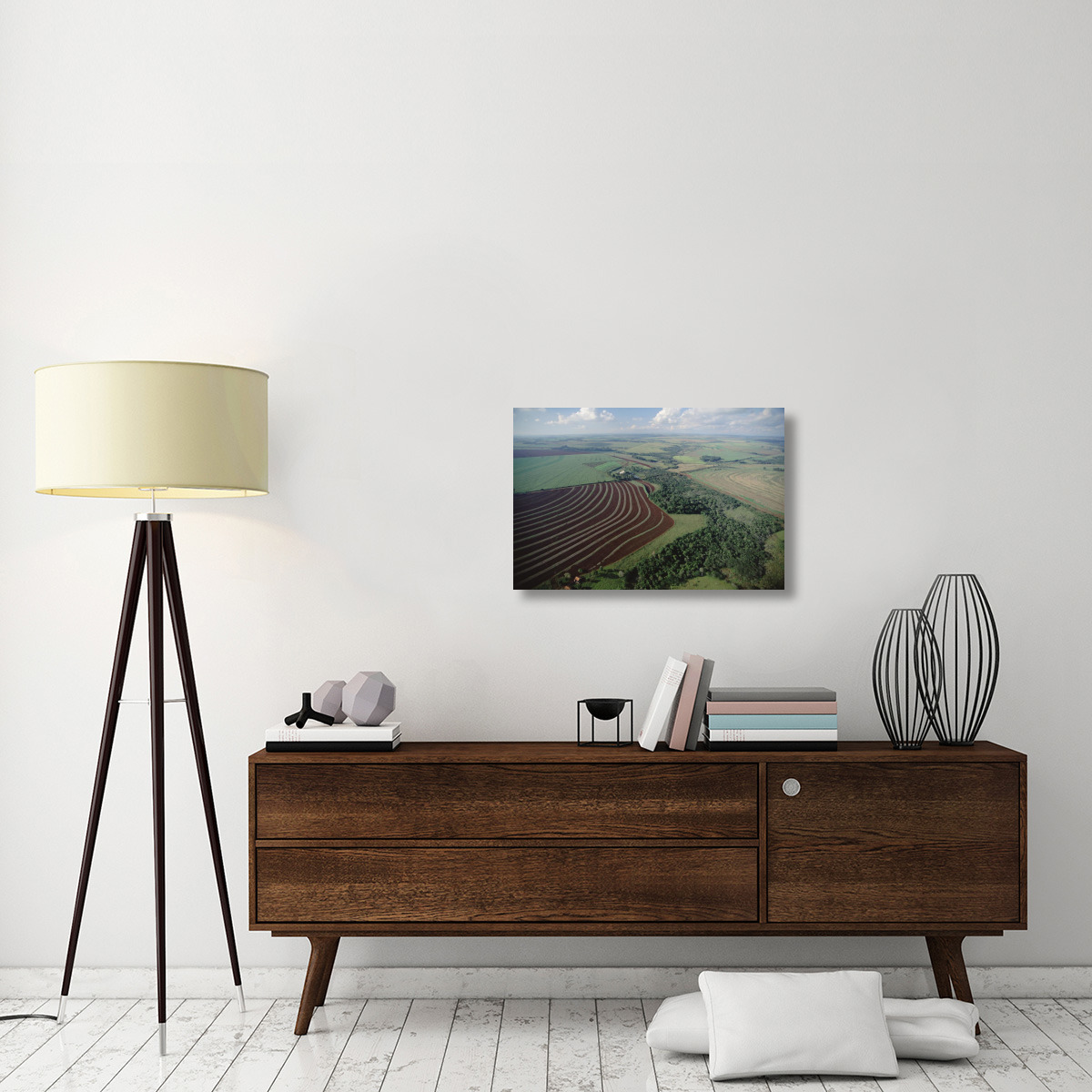 Farming region with forest remnants, southern Brazil-Canvas Art-30&quotx20"