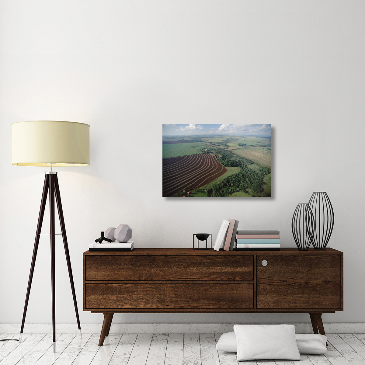 Farming region with forest remnants, southern Brazil-Canvas Art-36&quotx24"