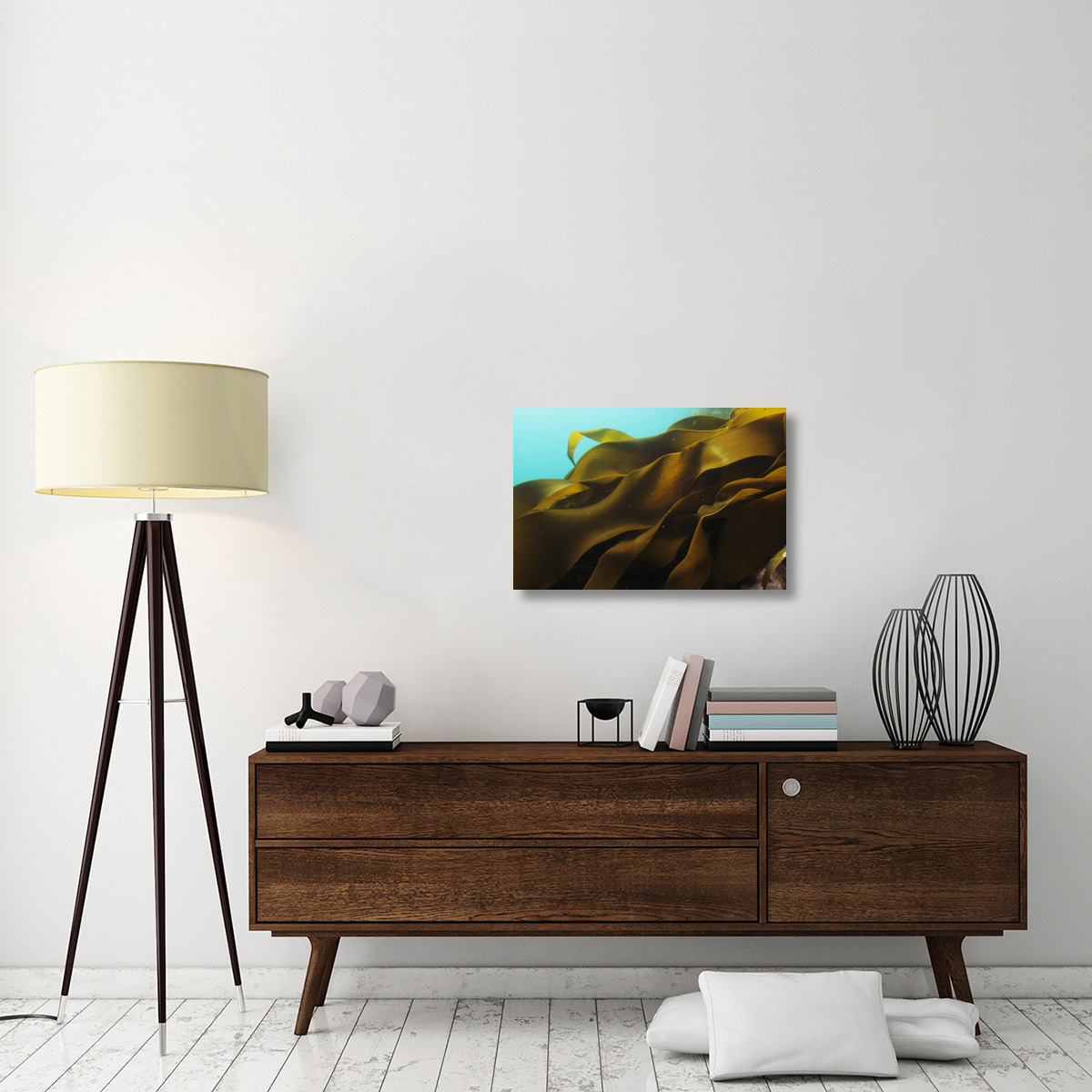 Ribbon Kelp, Antarctica-Canvas Art-30&quotx20"