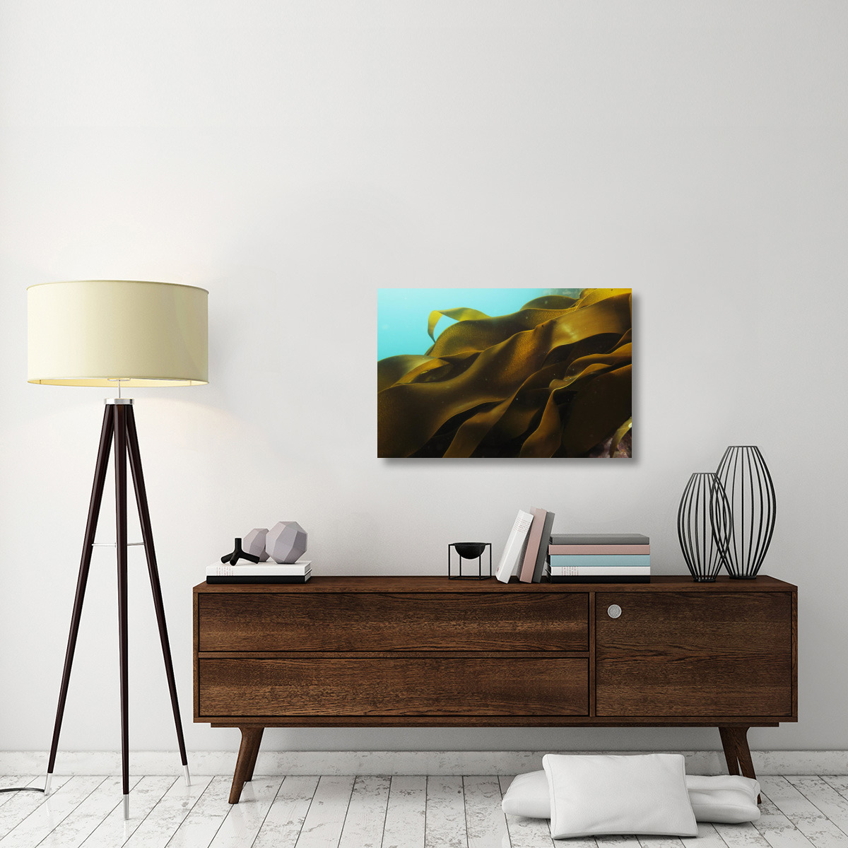 Ribbon Kelp, Antarctica-Canvas Art-36&quotx24"