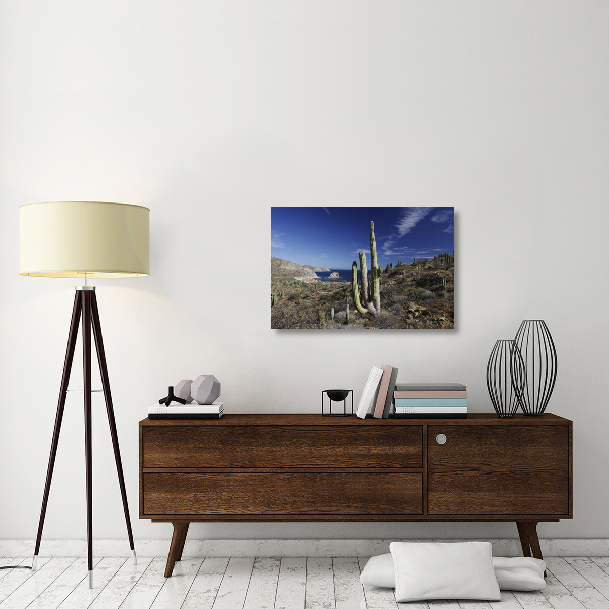 Cardon cactus, Santa Catalina Island, Sea of Cortez, Mexico-Canvas Art-36&quotx24"