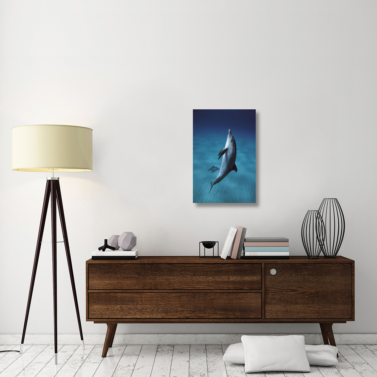 Atlantic Spotted Dolphin pair swimming underwater, Little Bahama Bank, Bahamas, Caribbean-Canvas Art-20&quotx30"