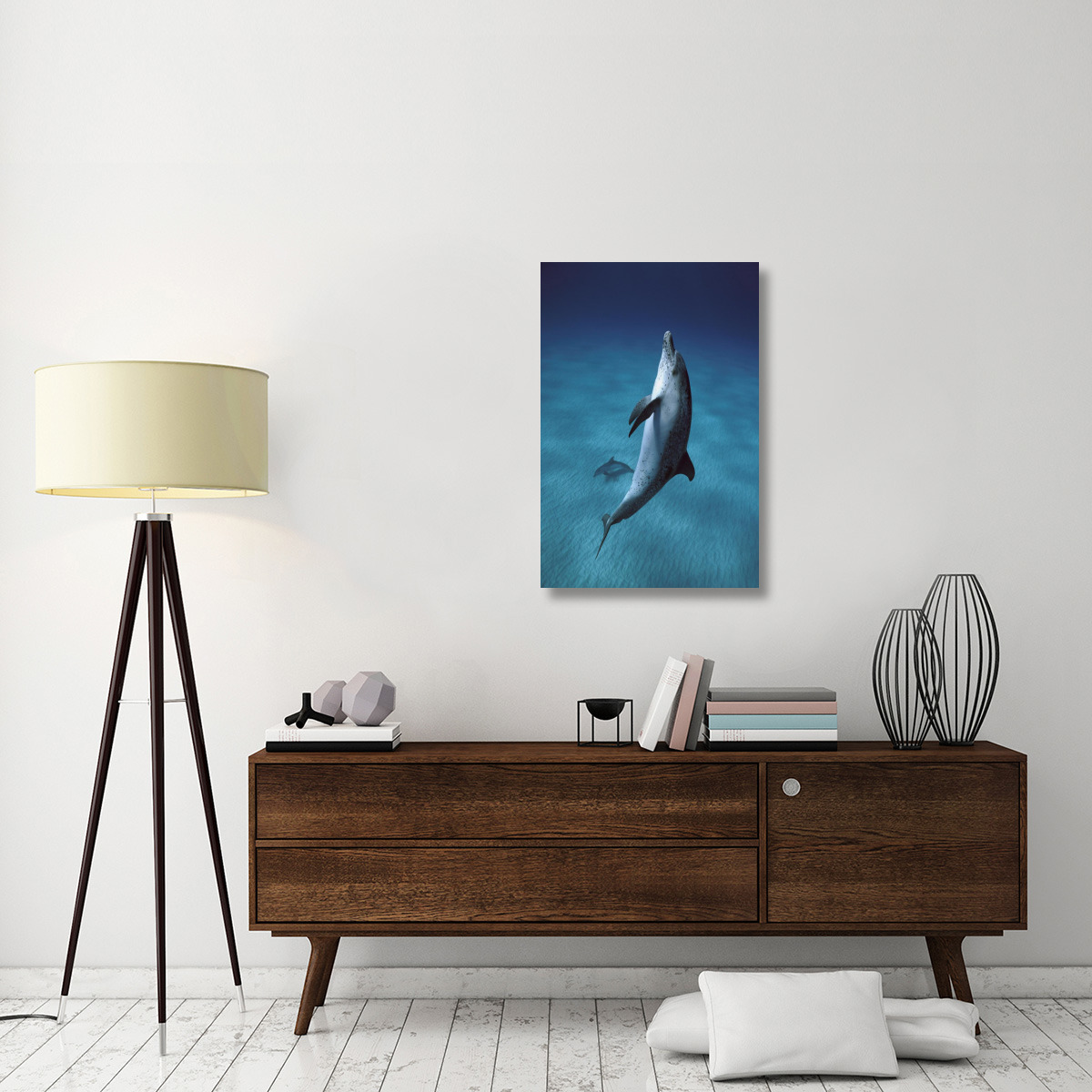 Atlantic Spotted Dolphin pair swimming underwater, Little Bahama Bank, Bahamas, Caribbean-Canvas Art-24&quotx36"