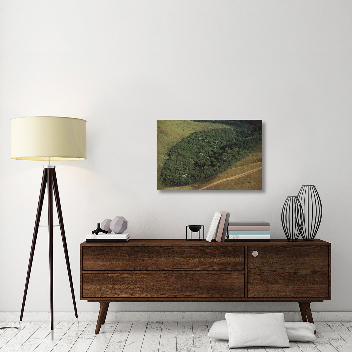 Patch of remnant rainforest surrounded by clearcut, Belo Horizonte, Atlantic Forest ecosystem, Brazil-Canvas Art-36&quotx24"