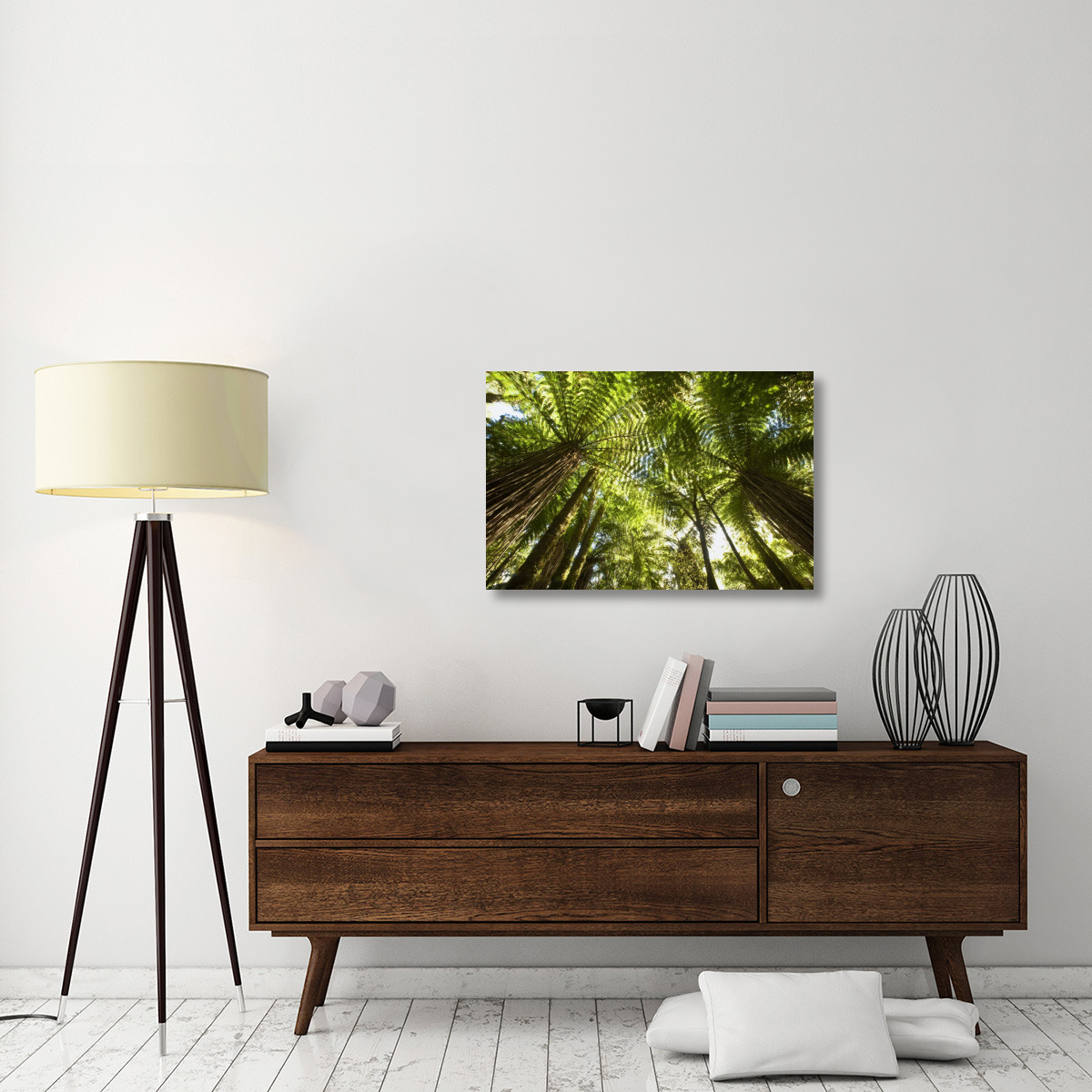 Tree Fern forest near Haast Pass, New Zealand-Canvas Art-36&quotx24"