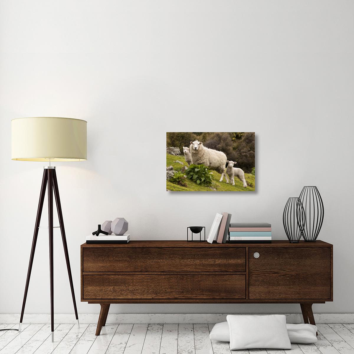 Domestic Sheep with twin lambs, Stony Bay, Banks Peninsula, Canterbury, New Zealand-Canvas Art-30&quotx20"