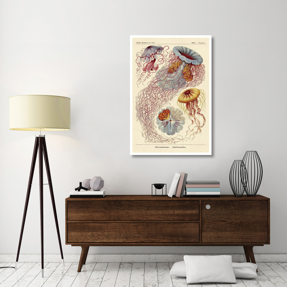 Haeckel Nature Illustrations Jelly Fish-Paper Art-34&quotx50"