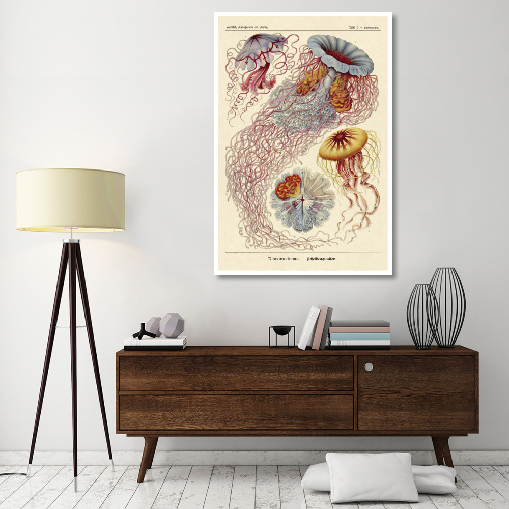 Haeckel Nature Illustrations Jelly Fish-Paper Art-42&quotx62"