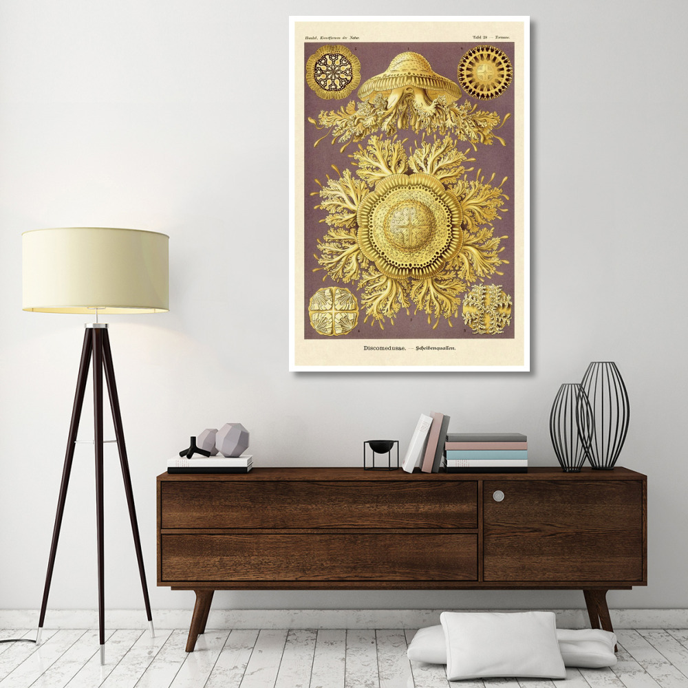 Haeckel Nature Illustrations Jelly Fish-Paper Art-42&quotx62"