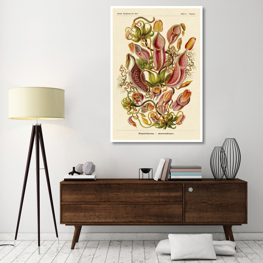 Haeckel Nature Illustrations Pitcher Plants-Paper Art-42&quotx62"