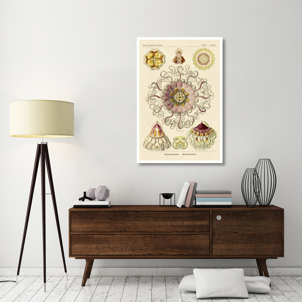 Haeckel Nature Illustrations Jelly Fish-Paper Art-34&quotx50"