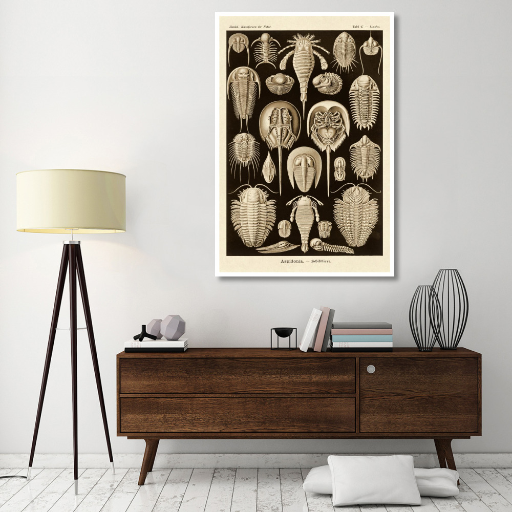 Haeckel Nature Illustrations Athropods - Sepia Tint-Paper Art-42&quotx62"