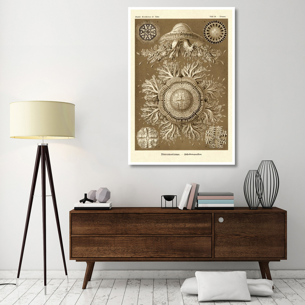 Haeckel Nature Illustrations Jelly Fish - Sepia Tint-Paper Art-42&quotx62"