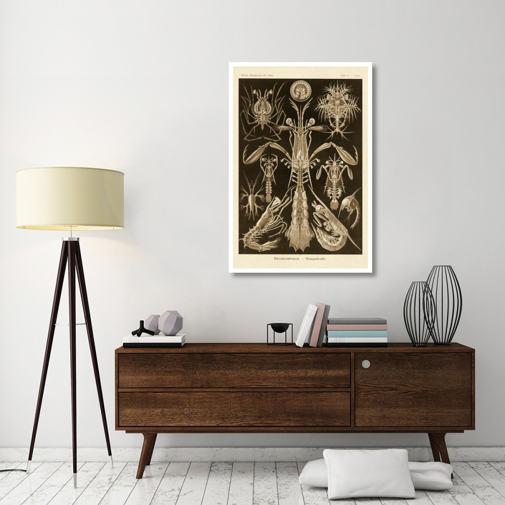 Haeckel Nature Illustrations Thoracostraca, Crustaceans - Sepia Tint-Paper Art-34&quotx50"