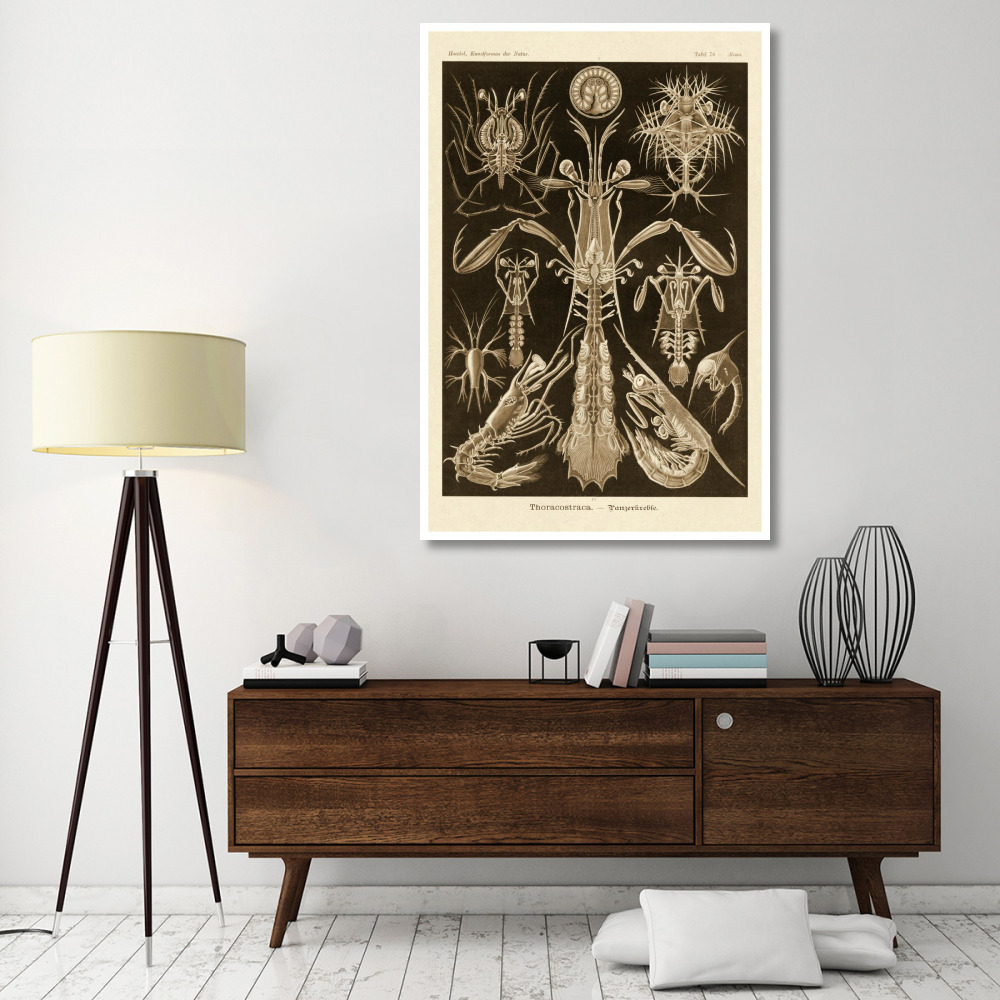 Haeckel Nature Illustrations Thoracostraca, Crustaceans - Sepia Tint-Paper Art-42&quotx62"