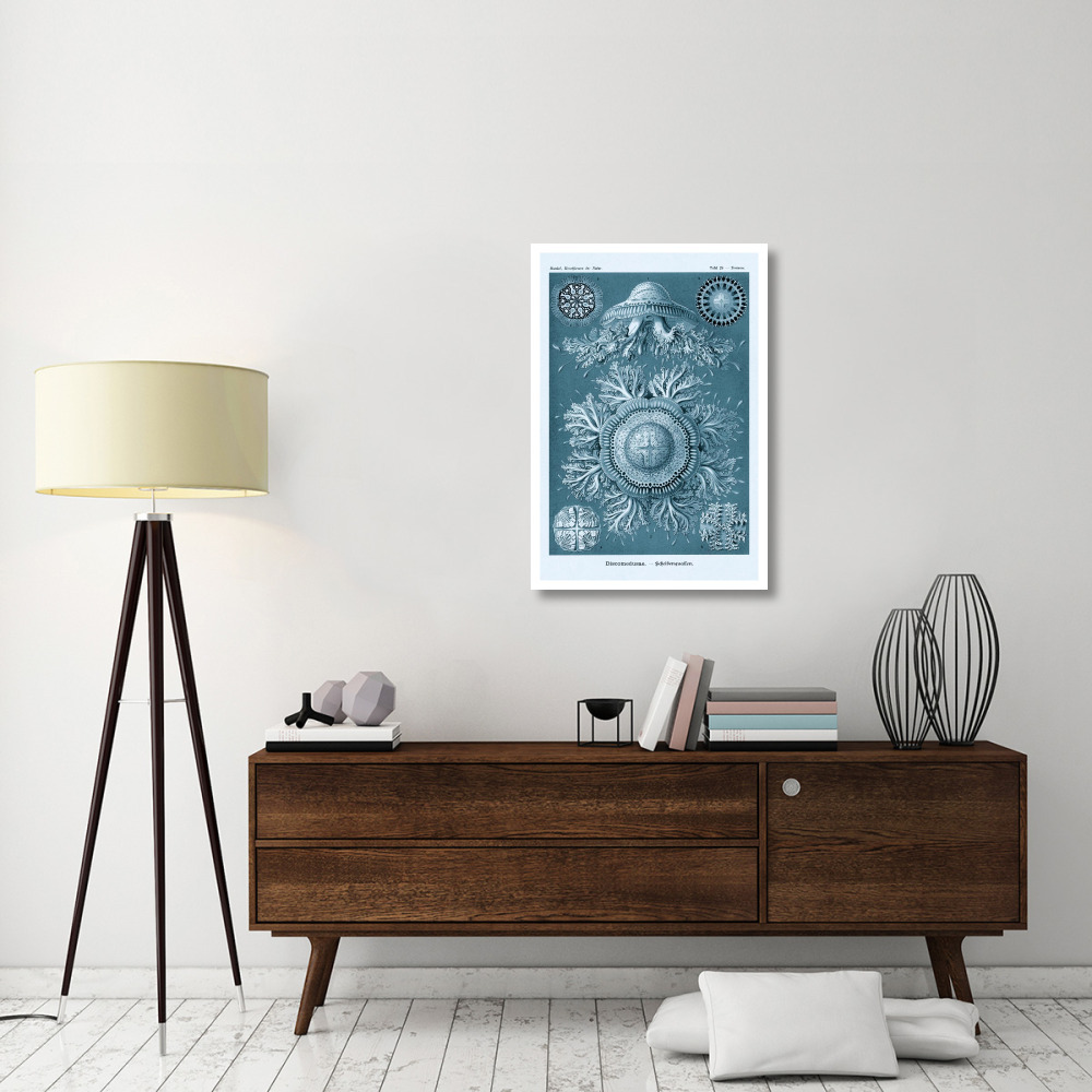 Haeckel Nature Illustrations Jelly Fish - Blue-Green Tint-Paper Art-26&quotx38"