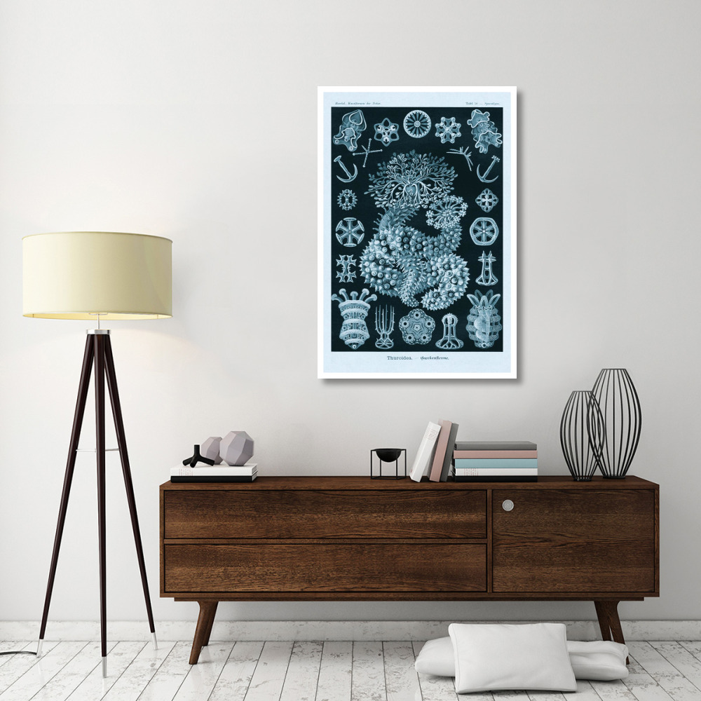 Haeckel Nature Illustrations Sea Cucumbers - Blue-Green Tint-Paper Art-34&quotx50"