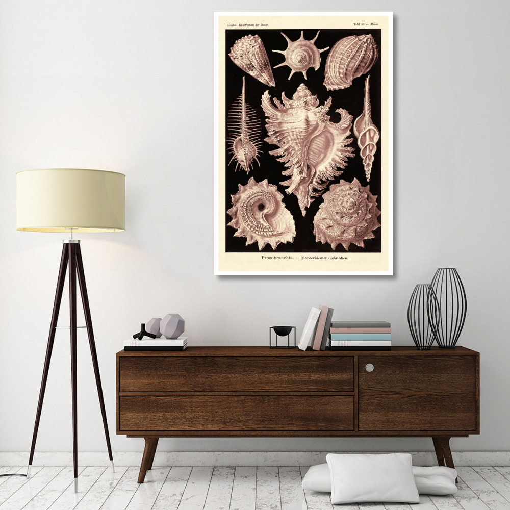 Haeckel Nature Illustrations Gastropods - Rose Tint-Paper Art-42&quotx62"