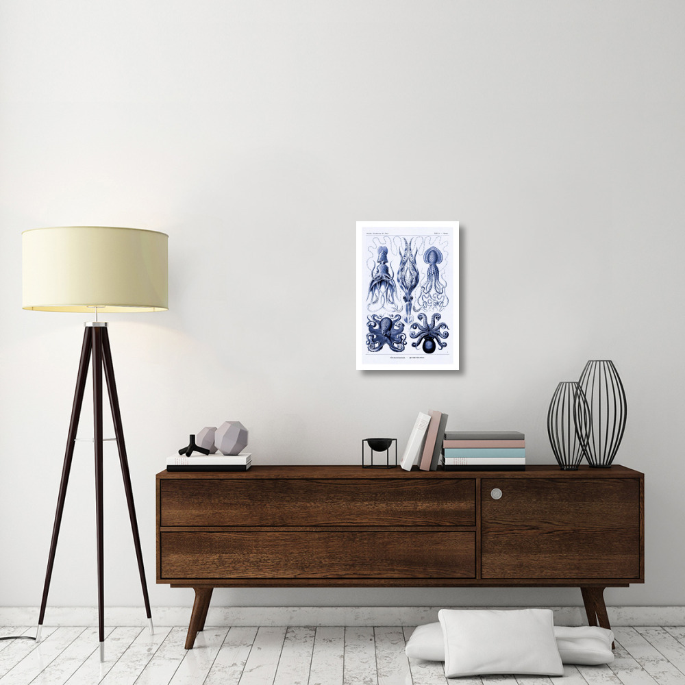 Haeckel Nature Illustrations Jelly Fish - Dark Blue Tint-Paper Art-18&quotx26"