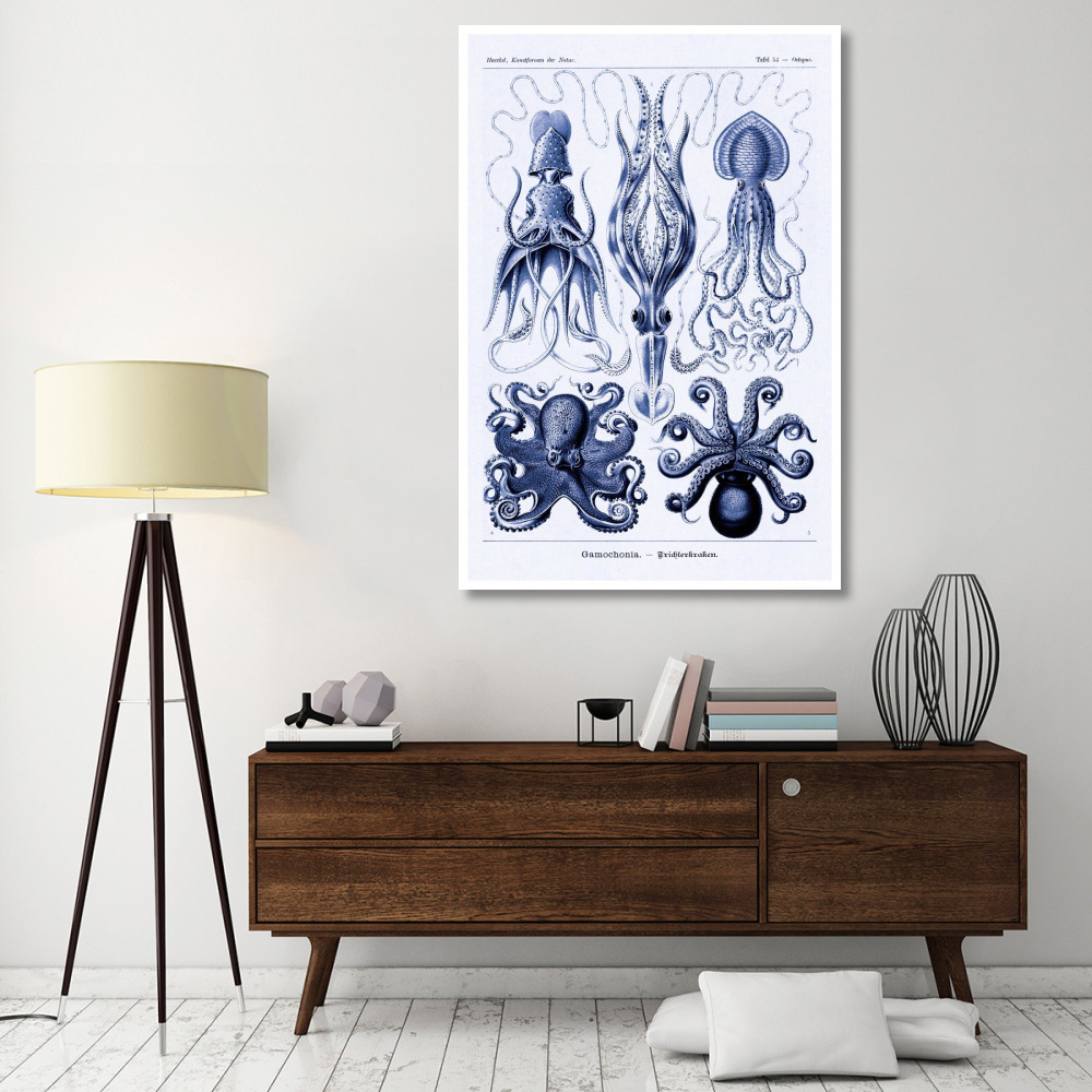 Haeckel Nature Illustrations Jelly Fish - Dark Blue Tint-Paper Art-42&quotx62"