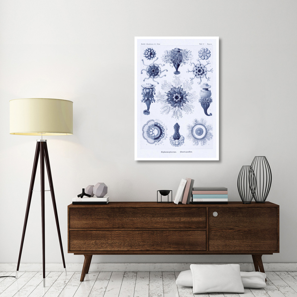 Haeckel Nature Illustrations Siphoneae Hydrozoa - Dark Blue Tint-Paper Art-34&quotx50"