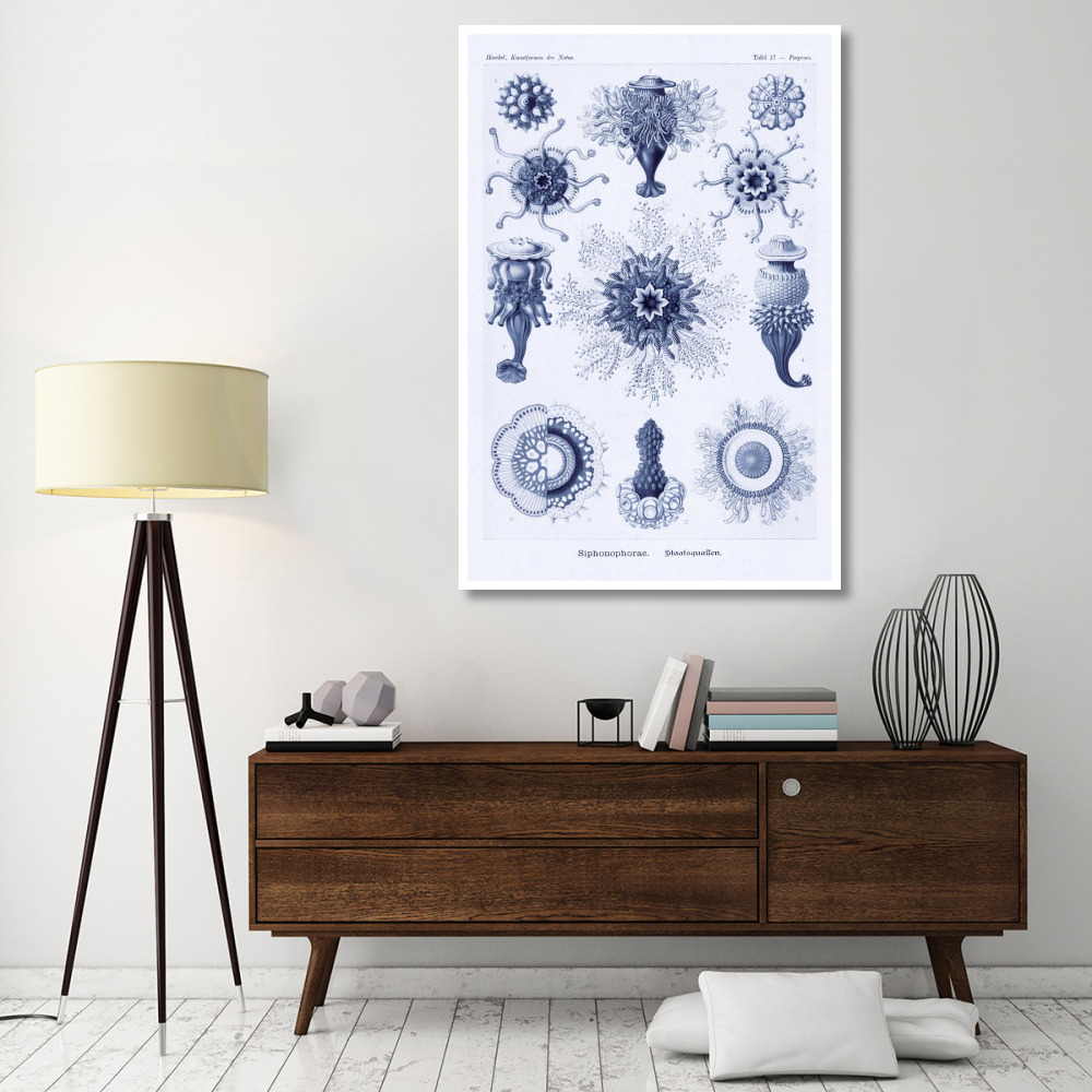 Haeckel Nature Illustrations Siphoneae Hydrozoa - Dark Blue Tint-Paper Art-42&quotx62"