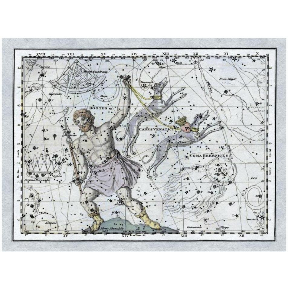 Maps of the Heavens Bootes the Hunter and His Hounds-Paper Art-34&quotx26"