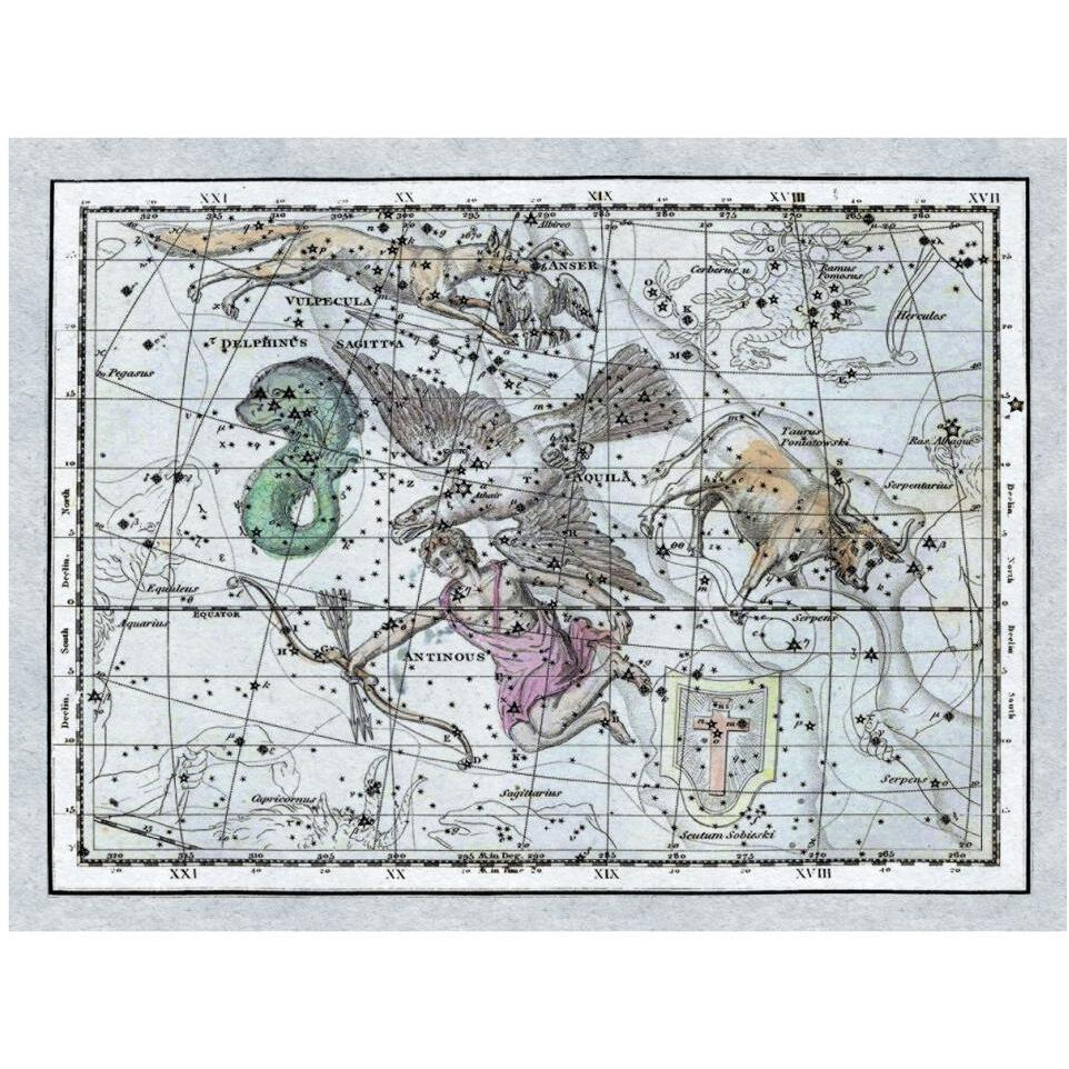 Maps of the Heavens Aquila - Jupiter's Eagle-Paper Art-42&quotx32"