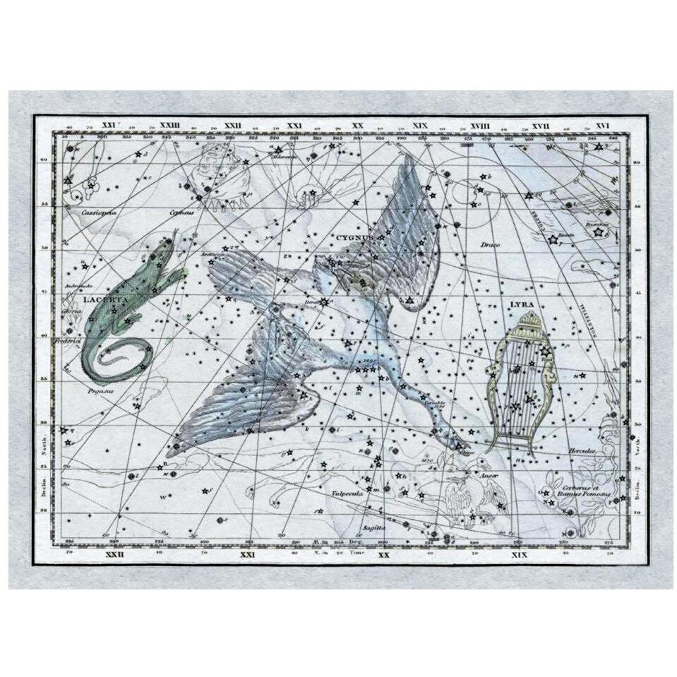 Maps of the Heavens The Swan in the Milkyway-Paper Art-18&quotx14"