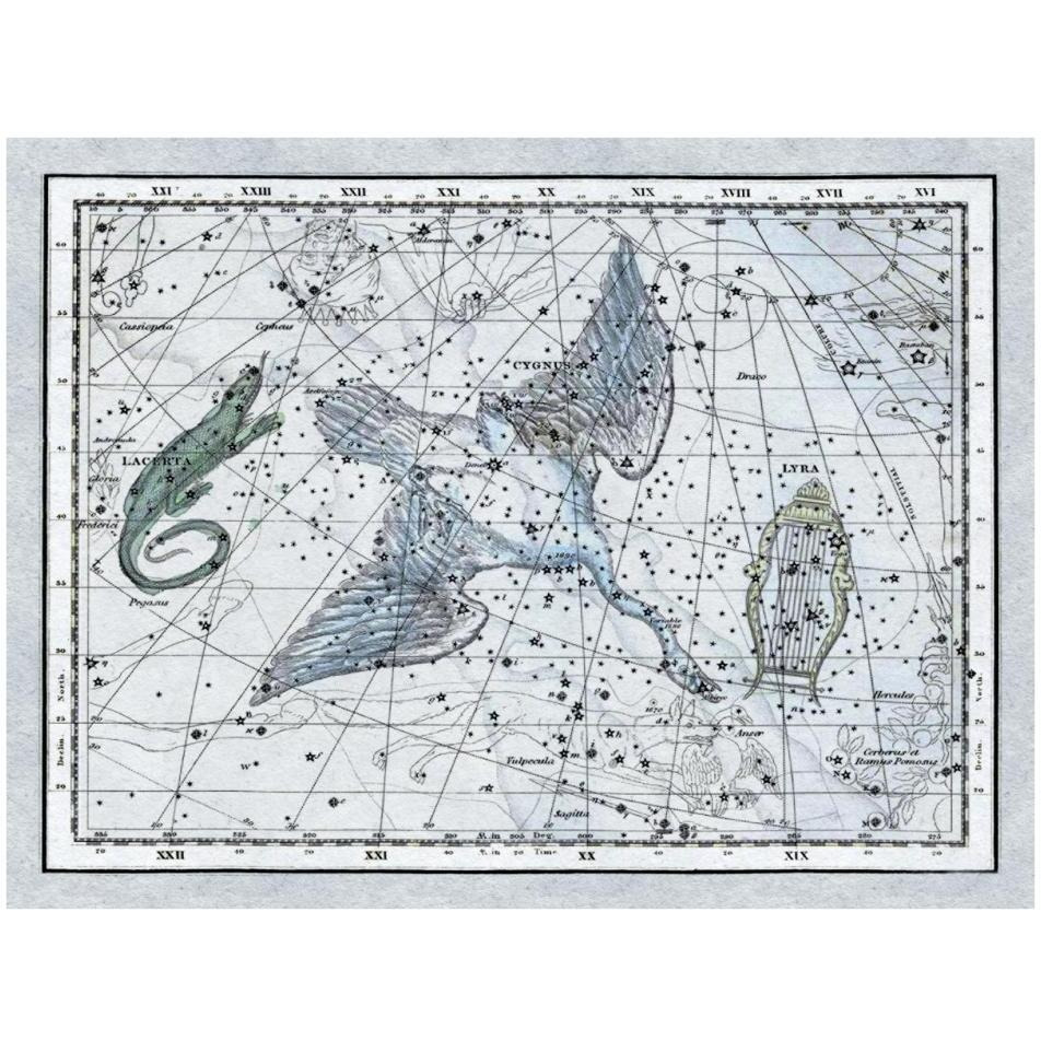 Maps of the Heavens The Swan in the Milkyway-Paper Art-34&quotx26"