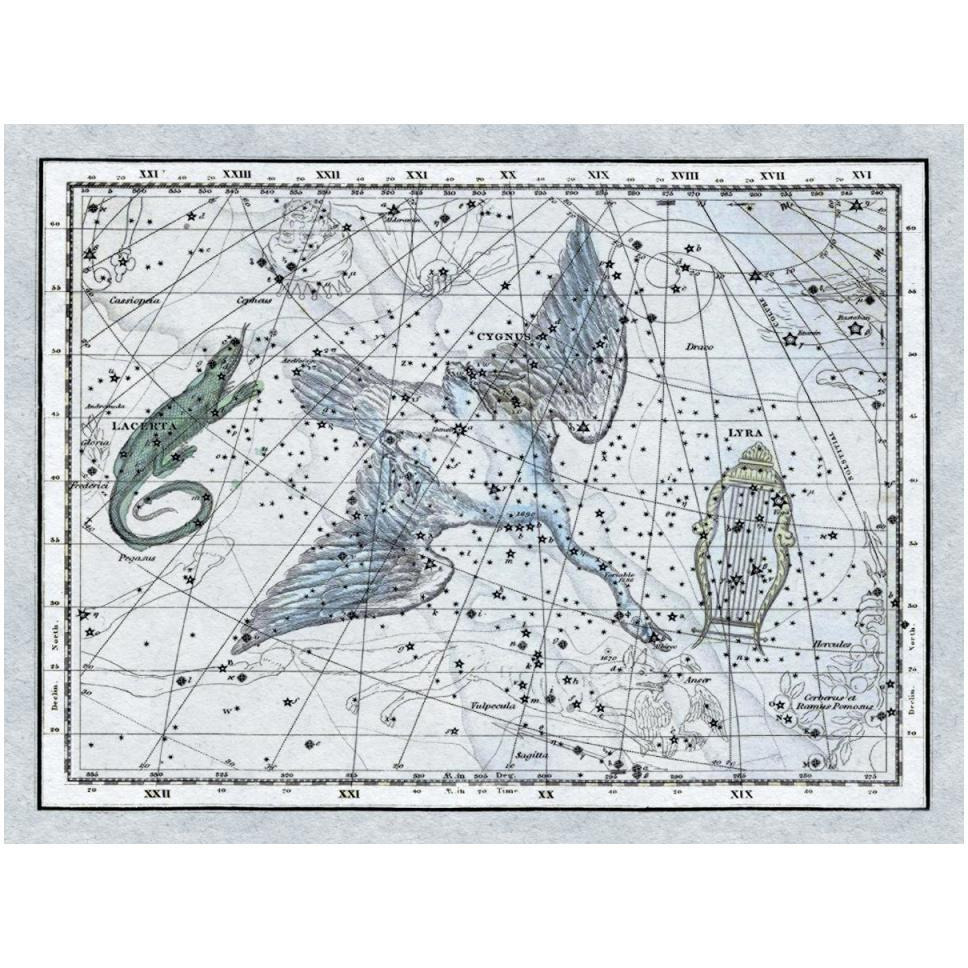 Maps of the Heavens The Swan in the Milkyway-Paper Art-50&quotx38"