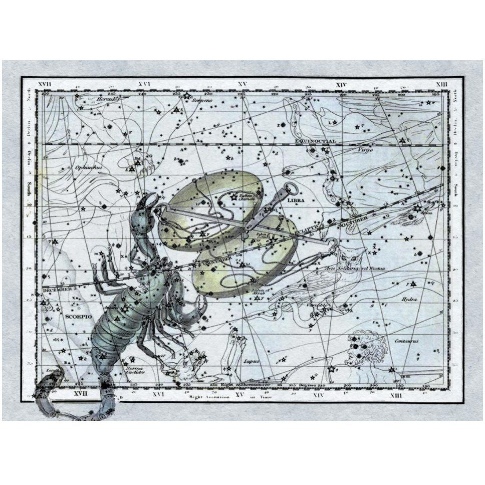 Maps of the Heavens Libra - the Scales & The Scorpion-Paper Art-50&quotx38"