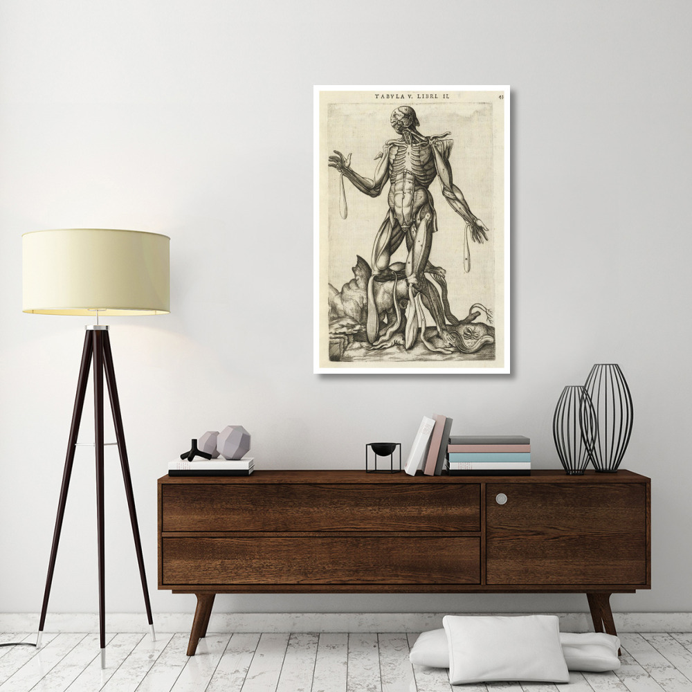 Male figure with muscles and skeleton-Paper Art-34&quotx50"