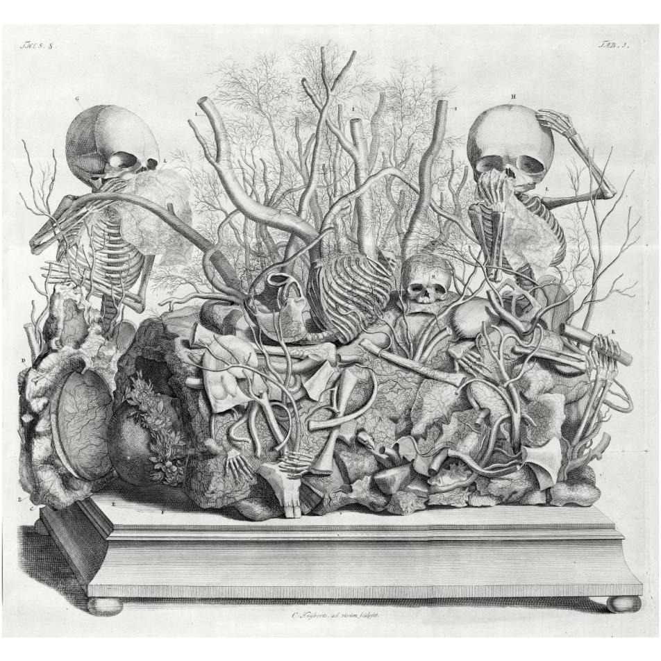 Diorama of fetal skeletons arranged with various internal organs-Paper Art-38&quotx35"