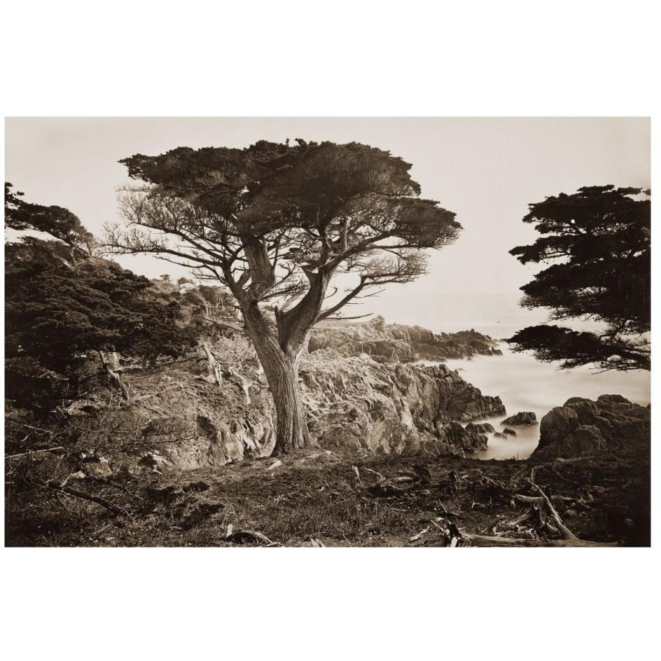 Cypress Point, Monterey, California, about 1880s-Paper Art-26&quotx18"