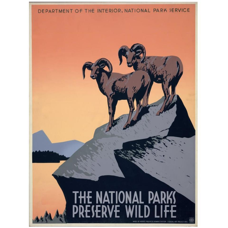 The National Parks Preserve Wild Life, ca. 1936-1939-Paper Art-32&quotx42"