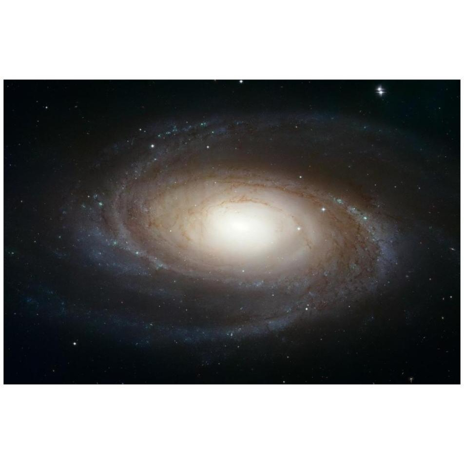 Spiral Galaxy M81-Paper Art-32&quotx22"