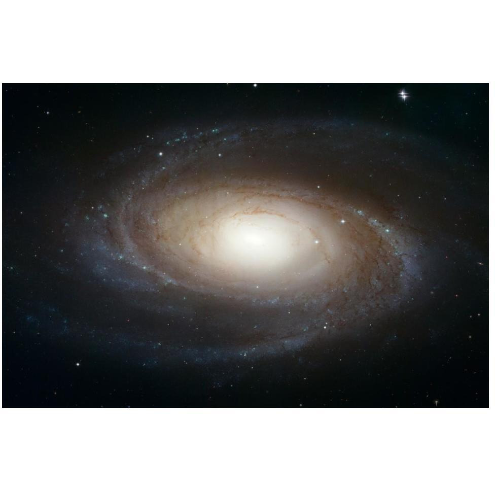 Spiral Galaxy M81-Paper Art-50&quotx34"