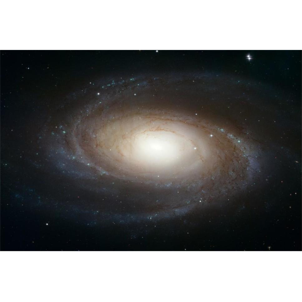 Spiral Galaxy M81-Paper Art-62&quotx42"